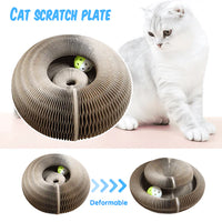 WhiskerScratch Cat Toy