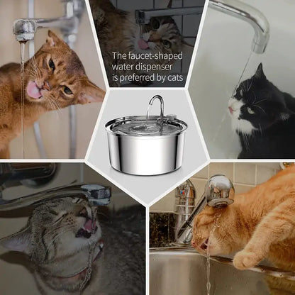 Cat Water Fountain