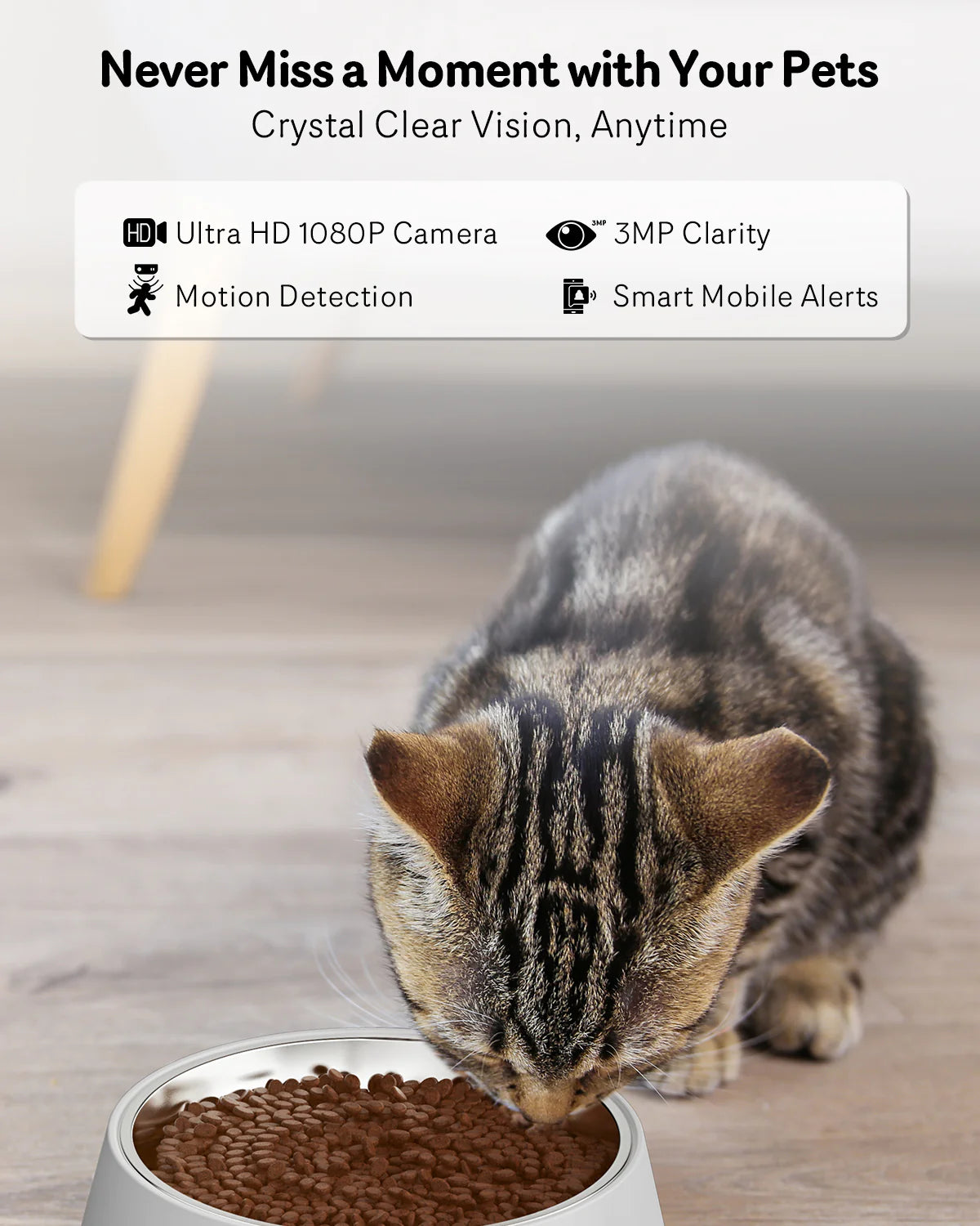 FeedCam™ Automatic Cat Feeder