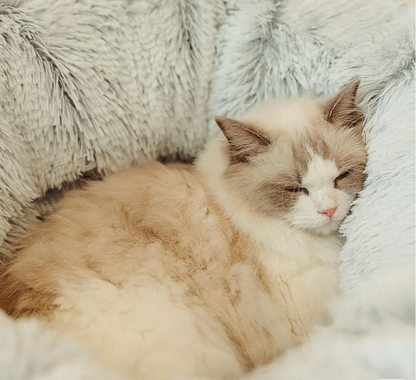 CozyCave™ Orthopedic Cat Bed