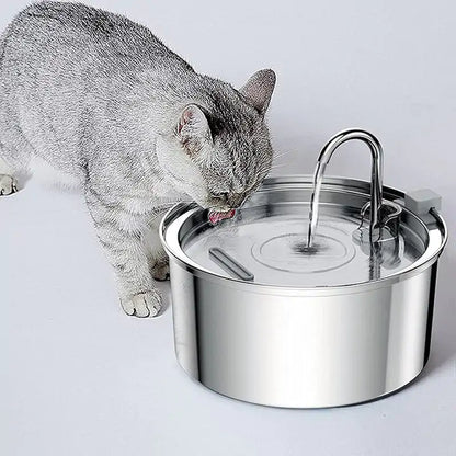 Cat Water Fountain